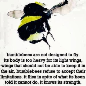 1465325_10152900311522619_2109802770_n