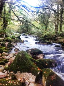 The River Avon in the Autumn 